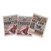 Lot #1537: SPIDER-MAN (2002) - Three Daily Bugle Newspapers
