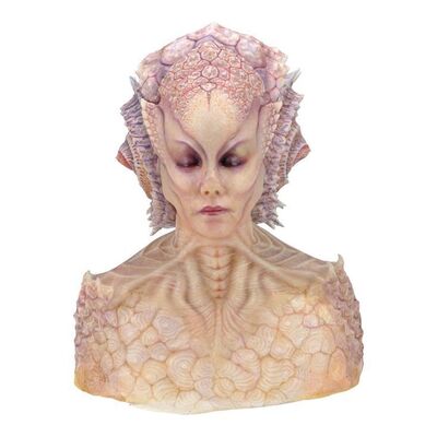 Lot #1564: STAR TREK BEYOND (2016) - Natalia (Ashley Edner) SFX Makeup Bust