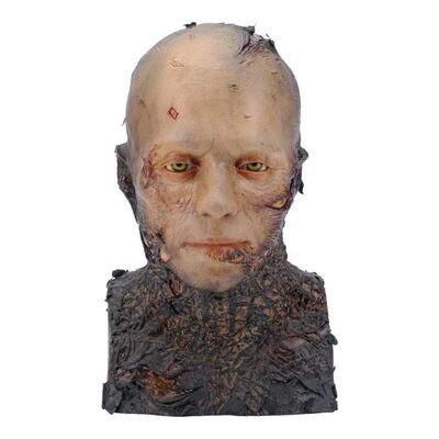 Lot #1577: STAR WARS: REVENGE OF THE SITH (2005) - Anakin Skywalker (Hayden Christensen) Makeup FX Test Bust Replica