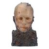 Lot #1577: STAR WARS: REVENGE OF THE SITH (2005) - Anakin Skywalker (Hayden Christensen) Makeup FX Test Bust Replica