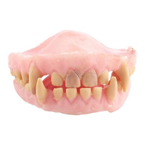 Lot #1578: STAR WARS: REVENGE OF THE SITH (2005) - Chewbacca's (Peter Mayhew) Teeth