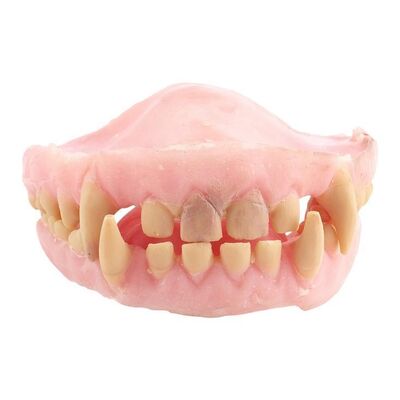 Lot #1578: STAR WARS: REVENGE OF THE SITH (2005) - Chewbacca's (Peter Mayhew) Teeth