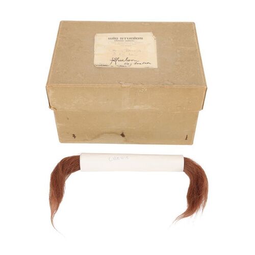 Lot #1583: STAR WARS: A NEW HOPE (1977) - Chewbacca (Peter Mayhew) Hair Sample