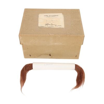 Lot #1583: STAR WARS: A NEW HOPE (1977) - Chewbacca (Peter Mayhew) Hair Sample