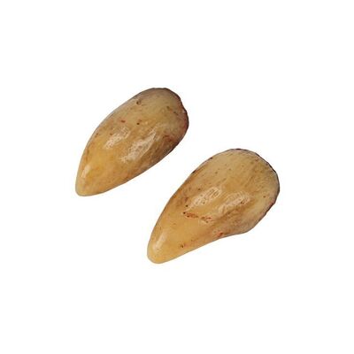 Lot #1598: STAR WARS: THE EMPIRE STRIKES BACK (1980) - Pair of Yoda Fingernails
