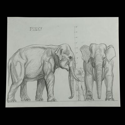 Lot #1731: THE VALLEY OF GWANGI (1969) - Hand-drawn Ray Harryhausen "Pinky the Elephant" Scale Comparison