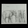 Lot #1731: THE VALLEY OF GWANGI (1969) - Hand-drawn Ray Harryhausen "Pinky the Elephant" Scale Comparison