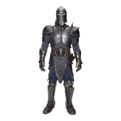 Lot #1748: WARCRAFT (2016) - Alliance Foot Soldier Armour