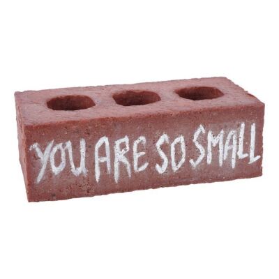 Lot # 8: The Fall of the House of Usher - "You Are So Small" Stunt Brick