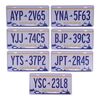 Lot # 18: The Fall of the House of Usher - Set of Seven Usher Family License Plates
