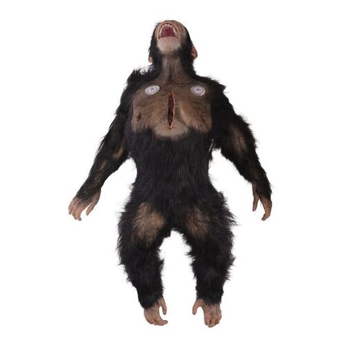 Lot # 37: The Fall of the House of Usher - Fortunato Lab Chimpanzee Test Subject