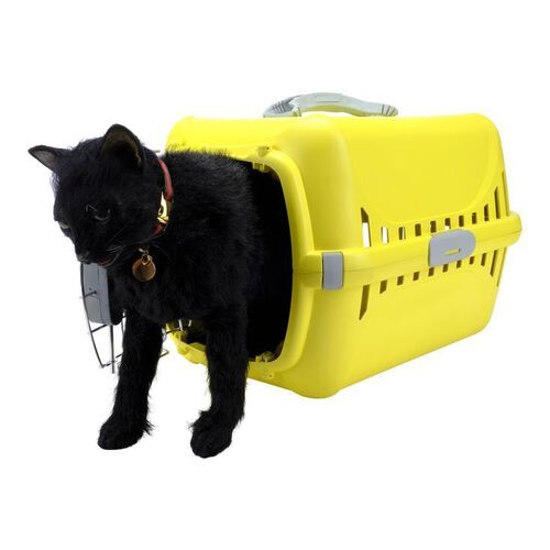 Lot # 82: The Fall of the House of Usher - Fake Pluto Cat, Pet Carrier, and Pluto's Collar