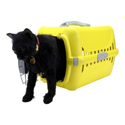 Lot # 82: The Fall of the House of Usher - Fake Pluto Cat, Pet Carrier, and Pluto's Collar