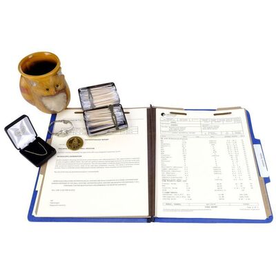 Lot # 151: The Midnight Club - Sandra's Club Mug, Accessories, and Medical File with Alice's Toothpick Box