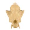 Lot # 16: MythBusters Exhibition Animal Skull