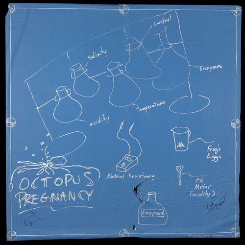 Lot # 125: Octopus Pregnancy Blueprint Signed by Adam Savage and Kari Byron with Signed Poster
