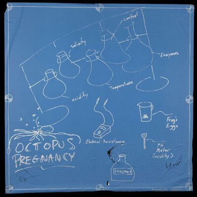 Lot # 125: Octopus Pregnancy Blueprint Signed by Adam Savage and Kari Byron with Signed Poster