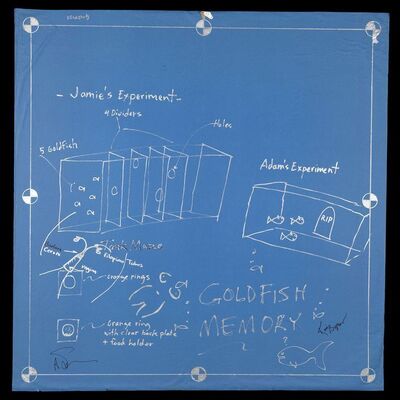 Lot # 131: Goldfish Memory Blueprint Signed by Adam Savage and Kari Byron with Two Signed Posters