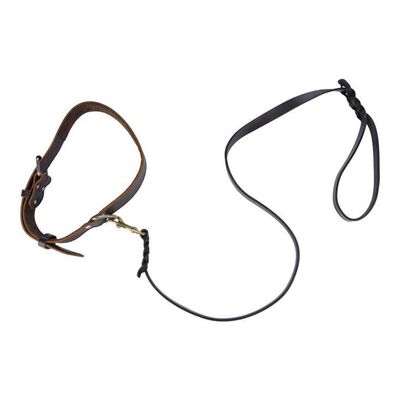 Lot # 239: JOHN WICK: CHAPTER 4 (2023): John Wick's Pitbull Collar and Leash