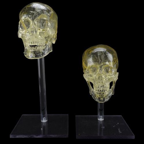 Lot # 279: JOHN WICK: CHAPTER 3-PARABELLUM (2019): Continental Hotel's Two Crystal Skulls