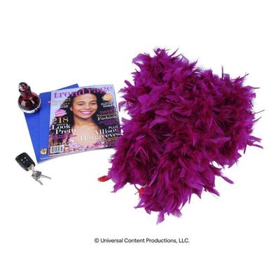Lot # 18: The Umbrella Academy (2019-2024): Allison Hargreeves's (Emmy Raver-Lampman) Room Accessories with Locket