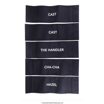 Lot # 120: The Umbrella Academy (2019-2024): Two Cast and Three Villain Season 1-2 Umbrella Academy Chairbacks