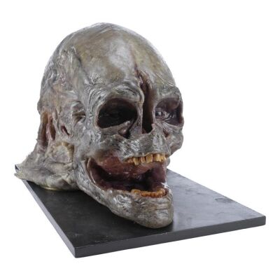 Lot #10 - Animatronic Newborn Head ### ALIEN RESURRECTION (1997)