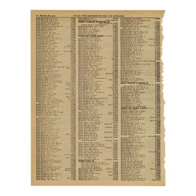 Lot #20 - Loose Phone Book Page with Dr. Emmett Brown's (Christopher Lloyd) Information ### BACK TO THE FUTURE (1985)