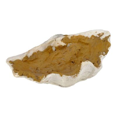 Lot #75 - Chuck Noland's (Tom Hanks) Screen-Matched Painting Shell ### CAST AWAY (2000)
