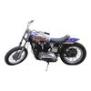 Lot #94 - Evel Knievel's Custom 1976 Harley Davidson XLCH 1000 Sportster Motorcycle ### VIVA KNIEVEL! (1976)