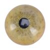 Lot #175 - Tyrannosaurus Rex Eye ### JURASSIC PARK (1993)