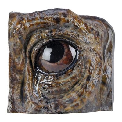Lot #182 - Brachiosaurus Reference Eye in Socket Display ### JURASSIC PARK (1993)