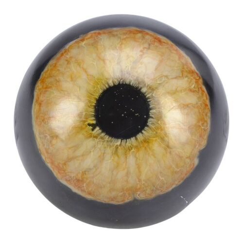 Lot #183 - Tyrannosaurus Rex Paint Test Eye ### JURASSIC PARK (1993)