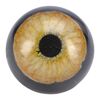 Lot #183 - Tyrannosaurus Rex Paint Test Eye ### JURASSIC PARK (1993)