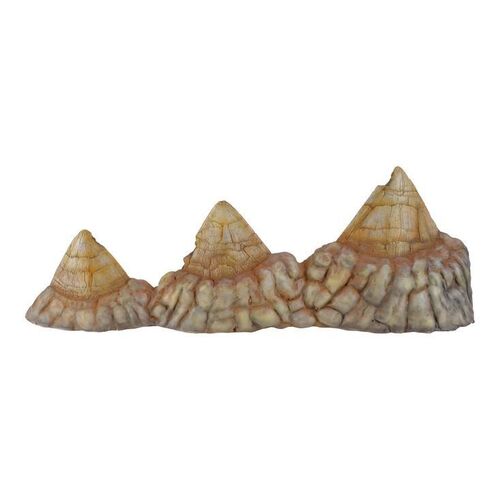 Lot #185 - Production-Made Sick Triceratops Spikes in Frill Display ### JURASSIC PARK (1993)
