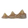 Lot #185 - Production-Made Sick Triceratops Spikes in Frill Display ### JURASSIC PARK (1993)