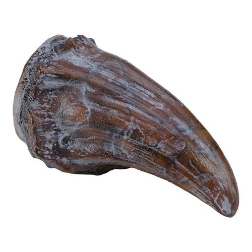 Lot #187 - Production-Made Tyrannosaurus Rex Dewclaw ### JURASSIC PARK (1993)