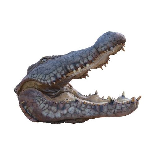 Lot #200 - Photo-Matched Full-Size Hydraulic Crocodile Insert Head ### LAKE PLACID (1999)