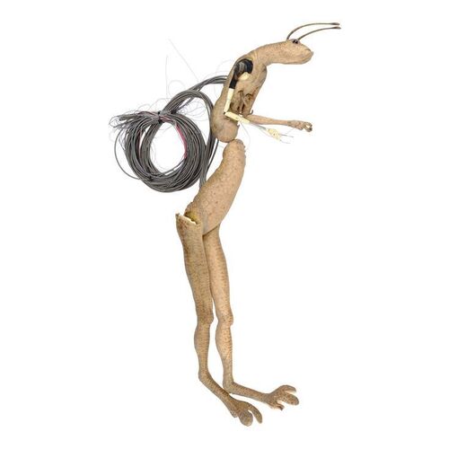 Lot #239 - Split Worm Guy Puppet ### MEN IN BLACK II (2002)