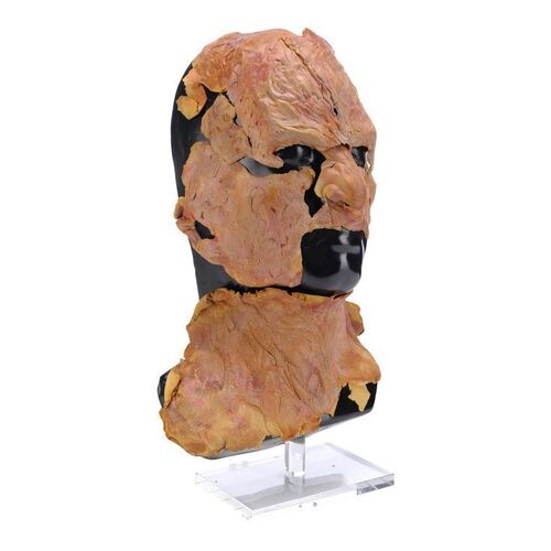 Lot #256 - Freddy Krueger (Robert Englund) Makeup Appliances ### NIGHTMARE ON ELM STREET PART 2, A: FREDDY'S REVENGE (1985)