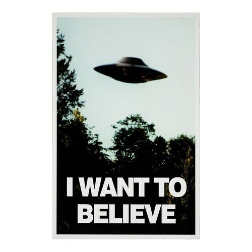 Lot #460 - Fox Mulder's (David Duchovny) "I Want to Believe" Poster ### THE X-FILES (T.V. SERIES, 1998 - 2001)