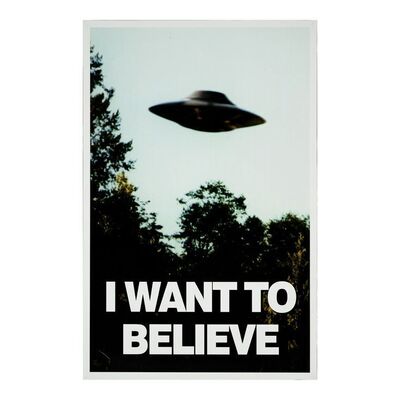 Lot #460 - Fox Mulder's (David Duchovny) "I Want to Believe" Poster ### THE X-FILES (T.V. SERIES, 1998 - 2001)