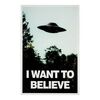 Lot #460 - Fox Mulder's (David Duchovny) "I Want to Believe" Poster ### THE X-FILES (T.V. SERIES, 1998 - 2001)