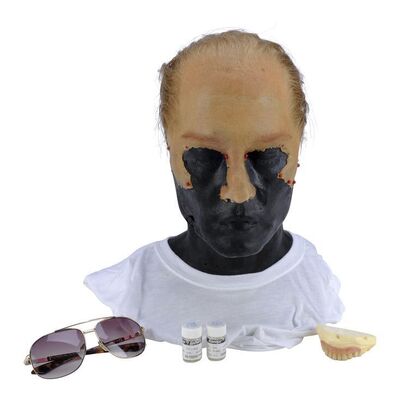 Lot #513 - Whitey Bulger (Johnny Depp) Facial Appliance, Contact Lenses, and Bottom Teeth ### BLACK MASS (2015)