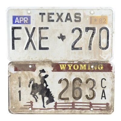 Lot #533 - Randall Malone (David Harbour) and John Twist's (Peter McRobbie) License Plates ### BROKEBACK MOUNTAIN (2005)
