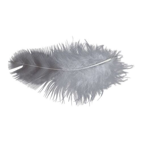Lot #615 - Forrest Gump's (Tom Hanks) Floating Feather ### FORREST GUMP (1994)