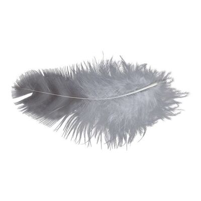 Lot #615 - Forrest Gump's (Tom Hanks) Floating Feather ### FORREST GUMP (1994)