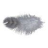 Lot #615 - Forrest Gump's (Tom Hanks) Floating Feather ### FORREST GUMP (1994)