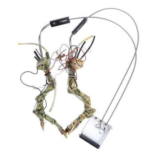 Lot #645 - Mechanical Gremlin Skeleton Legs ### GREMLINS 2: THE NEW BATCH (1990)