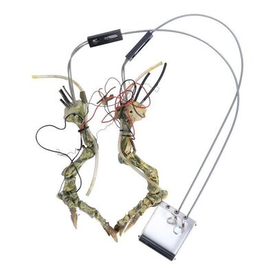 Lot #645 - Mechanical Gremlin Skeleton Legs ### GREMLINS 2: THE NEW BATCH (1990)